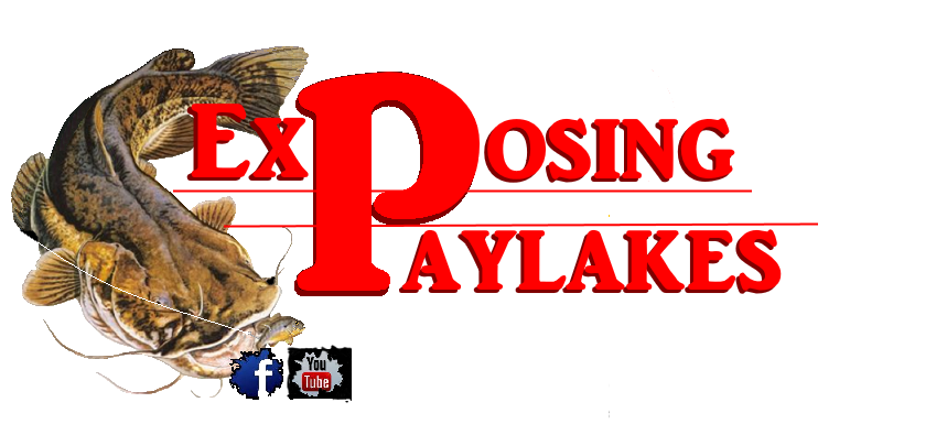 Exposing Paylakes Logo