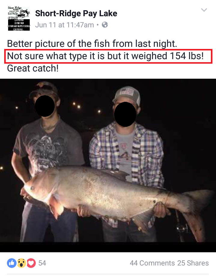 Paylake Stocks Asian Carp Paylake Stocks Asian Carp