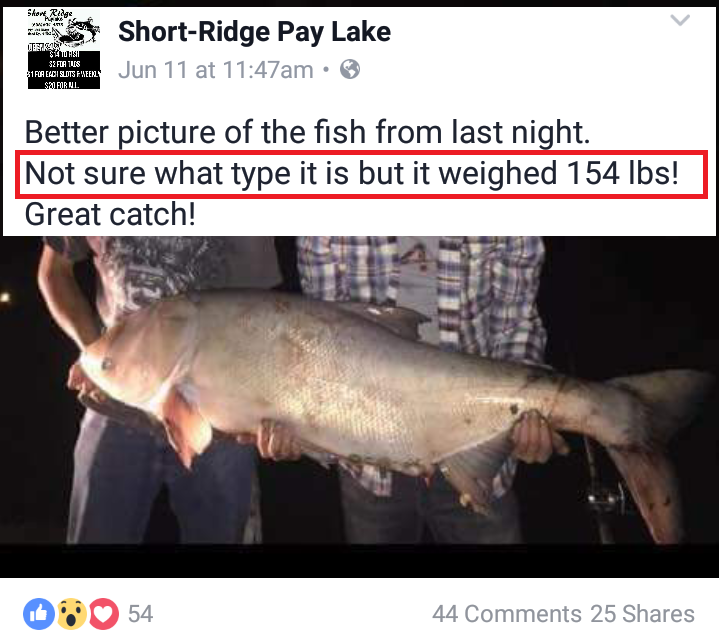 Asian Carp in Paylakes