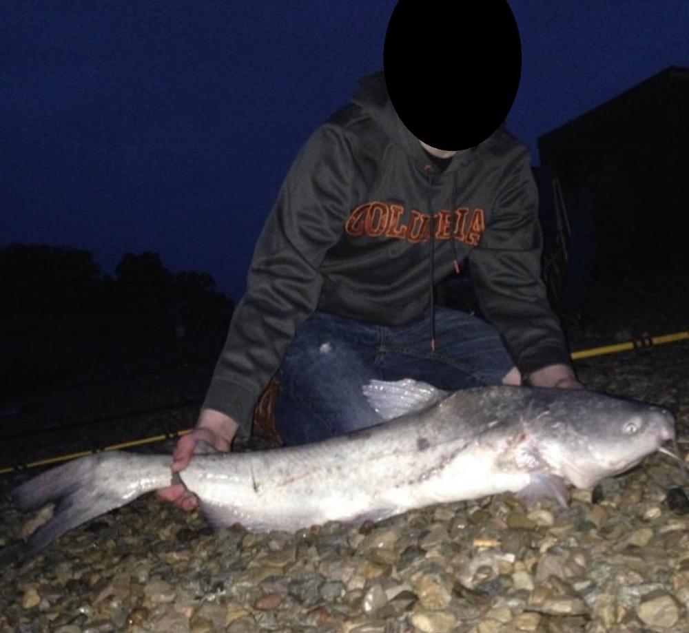 Paylake Catfish