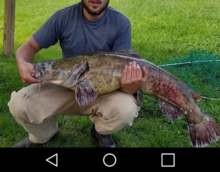 Paylake Catfish