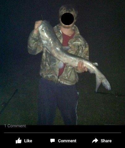 Paylake Catfish