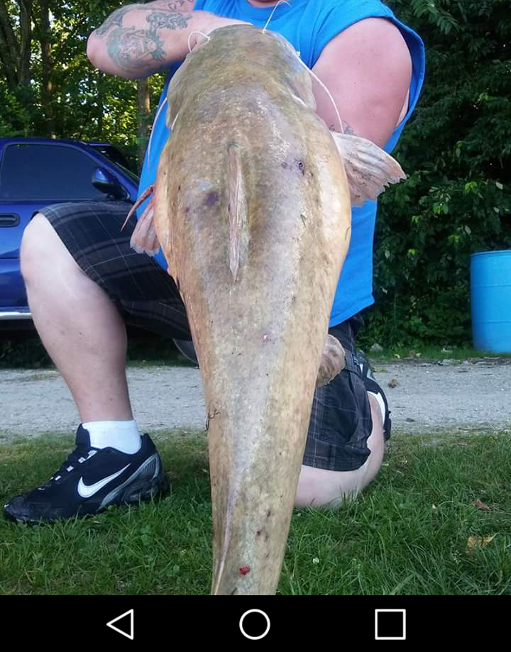 Paylake Catfish