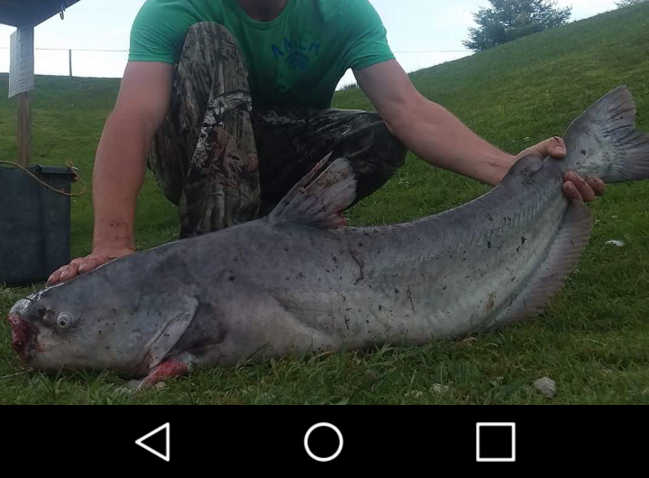 Paylake Catfish